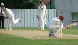 AVL - Popular Sports
