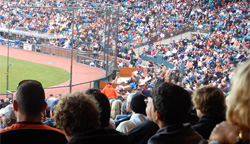 AVL - Best Sports  Fans