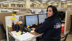 AVL - Moving Specialists